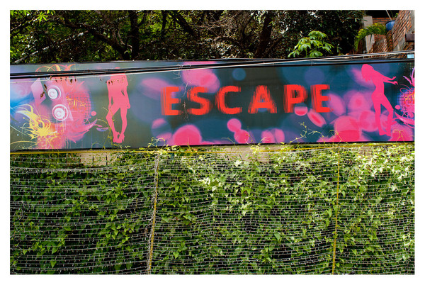 Level 7. Escape to Purgatory RICHARD MARK DOBSON Path to Purgatorio