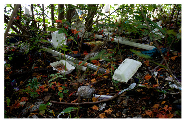 Level 6. Leaf Clutter # 4 RICHARD MARK DOBSON Path to Purgatorio