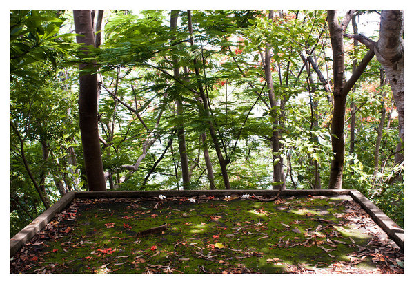 Level 3. Forest Edges RICHARD MARK DOBSON Path to Purgatorio