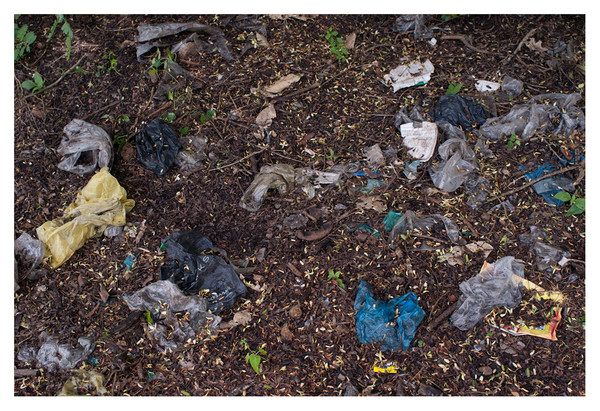 Level 6. Leaf Clutter # 2 RICHARD MARK DOBSON Path to Purgatorio