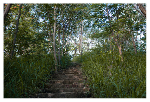 Level 3. 1000 Steps RICHARD MARK DOBSON Path to Purgatorio