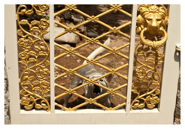 Level 5. Gated # 2 RICHARD MARK DOBSON Path to Purgatorio