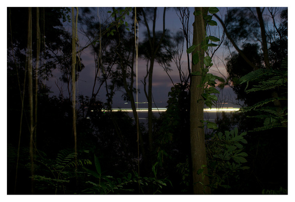 Level 5. Turn Night Into Day # 1 RICHARD MARK DOBSON Path to Purgatorio