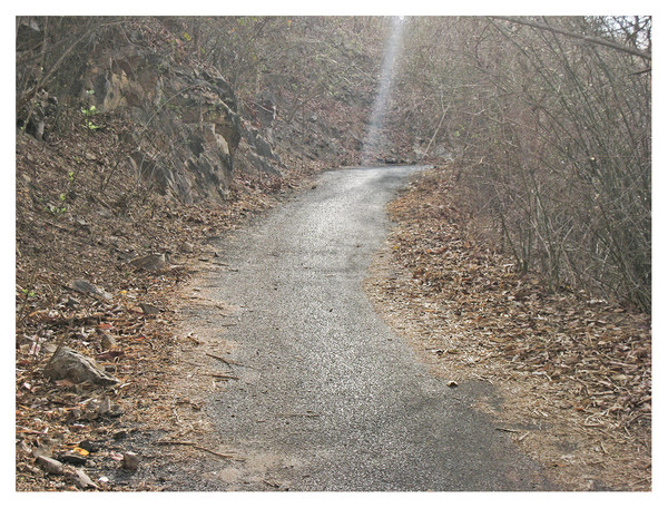 Level 4. Autumnal Tarmacadam RICHARD MARK DOBSON Path to Purgatorio