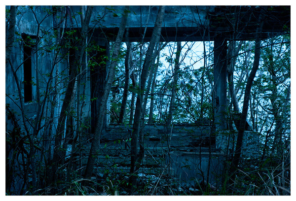 Level 7. The Abandonment # 1 RICHARD MARK DOBSON Path to Purgatorio