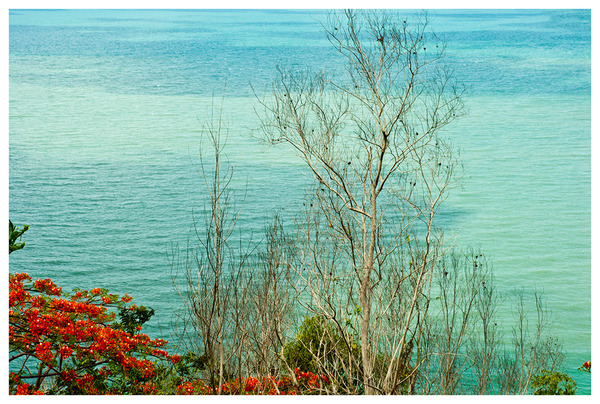 Level 1. The Oceanographic World seen from the Upper Reaches RICHARD MARK DOBSON Path to Purgatorio