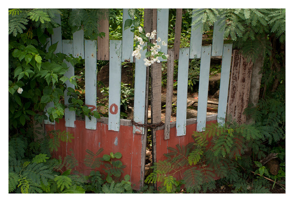 Level 5. Gated # 1 RICHARD MARK DOBSON Path to Purgatorio