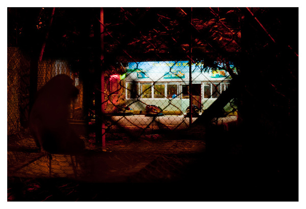 Level 6. Nature Caged, Nature Tamed # 1 RICHARD MARK DOBSON Path to Purgatorio