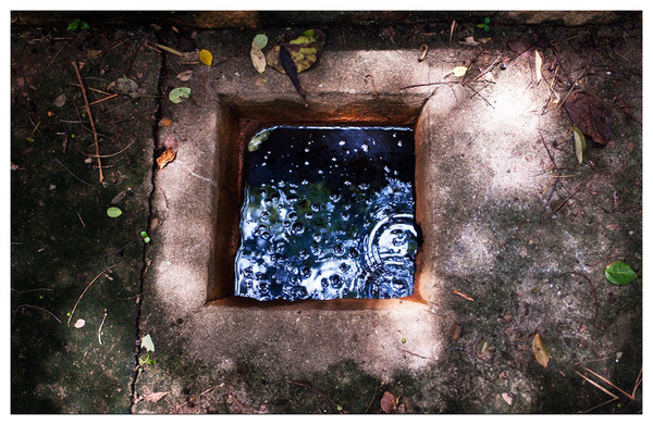 Level 4. Mercury Pool RICHARD MARK DOBSON Path to Purgatorio