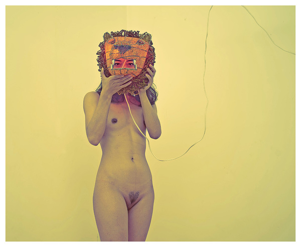 The Lioness RICHARD MARK DOBSON the lioness NOT FOR SALE