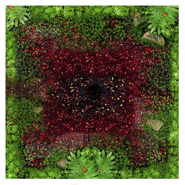 Pathway to Pureland # 7 RICHARD MARK DOBSON | Photographer | Signature Series Pathway to Pureland