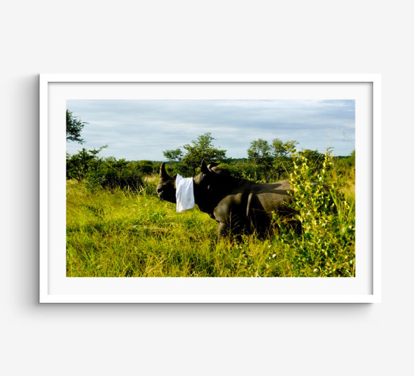 Series: Borderline South Africa RICHARD MARK DOBSON VIRTUAL GALLERY