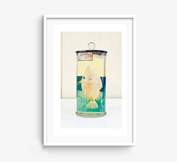 Series: Maritimus Oriental RICHARD MARK DOBSON Peep Show (Preview Collections)