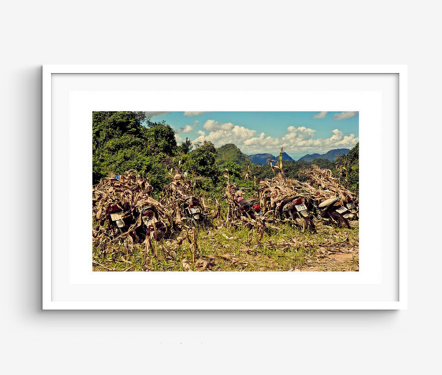 Series: Camo Bikes RICHARD MARK DOBSON VIRTUAL GALLERY OPEN EDITION