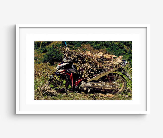 Series: Camo Bikes RICHARD MARK DOBSON VIRTUAL GALLERY OPEN EDITION