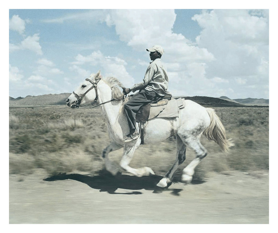 Farm hand and his horse. RICHARD MARK DOBSON farm hand and galloping horses
