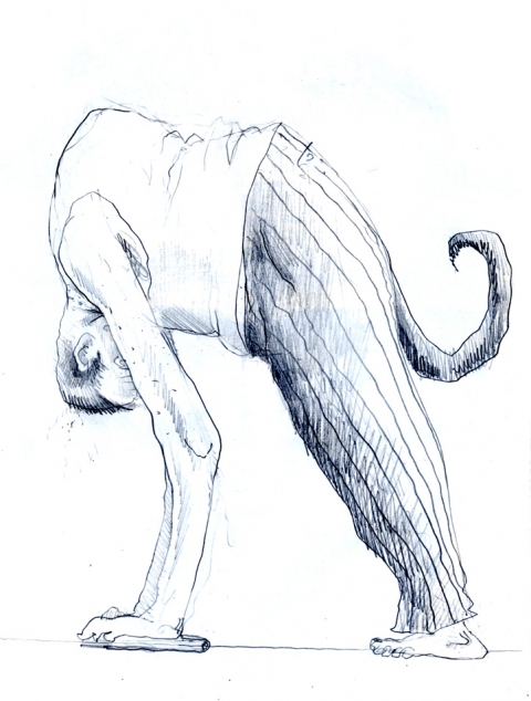 Simian Drawing, photography and Print pencil
