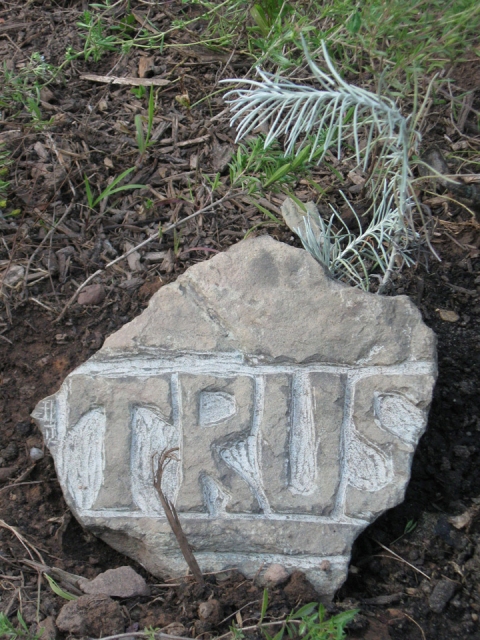 Trus(t) Cardboard, Wood and Stone rock
