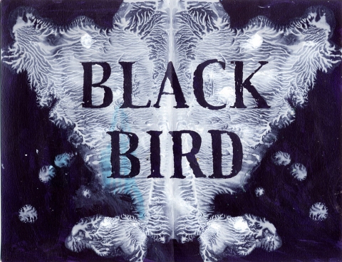 Black Bird (negative) Think Blot Paintings acrylic