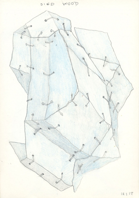 Pod Drawing (Dyed Wood) Drawing, photography and Print 6" x 8"