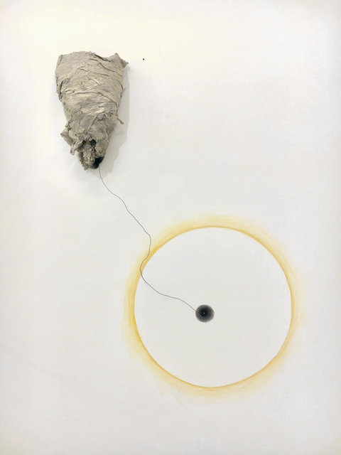 Between Black Holes Sera Mac NOW Wasp nest, wire, conte crayon, charcoal, gauche, acrylic, glitter