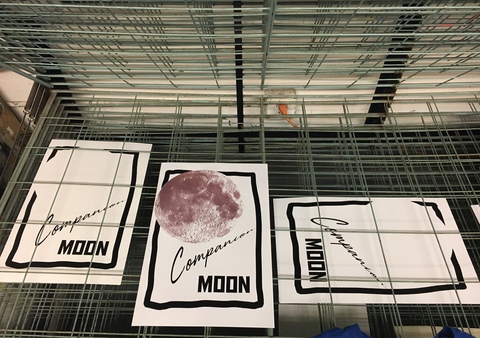 Companion Moon (detail) Sera Mac NOW Screen Print