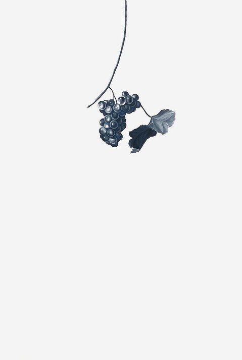 Grapes II (after de Lust) Shelley Reed Flora oil on paper