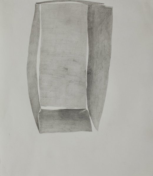 within without 8 within without 2009-present pencil on paper