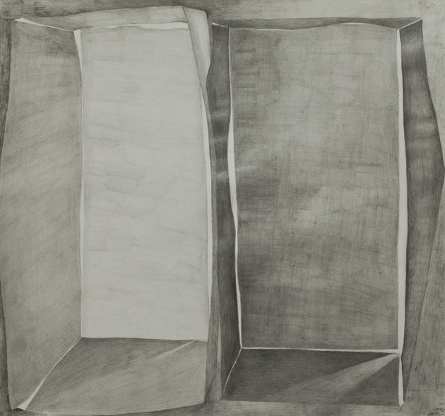within without 14 within without 2009-present pencil on paper