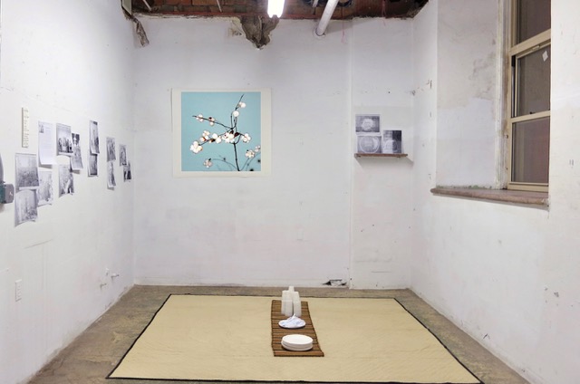 Winter Garden Anna Lise Jensen A Lot, community gardens, 2009-2013 Arts@Renaissance, Brooklyn, NY.