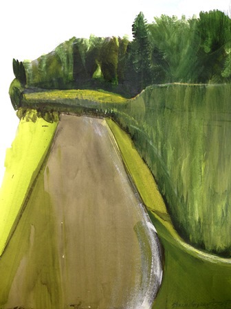 Summer Corn 1 VERDANT:The Land