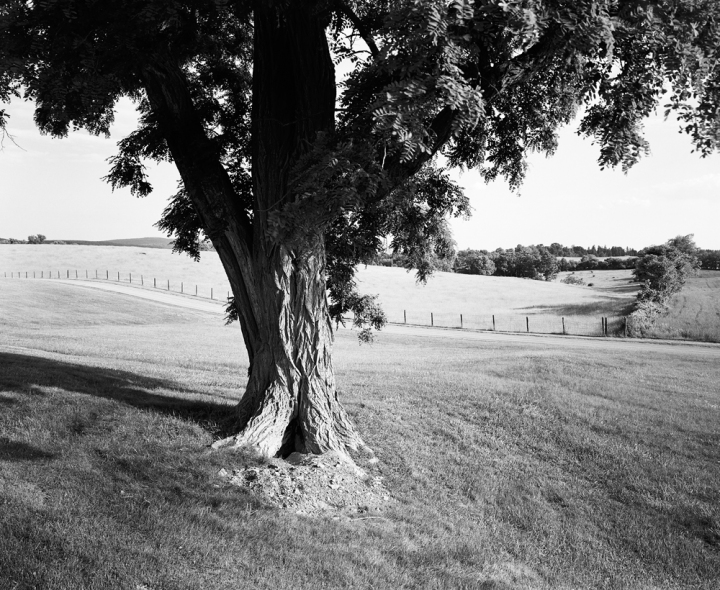 Looking South-West from Sunken Bloody Lane at Antietam U.S. Civil War Sites II B&W Film 2001