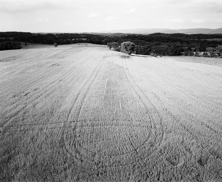 Battlefield View from Antietam's Bloody Lane Tower U.S. Civil War Sites II B&W Film 2001