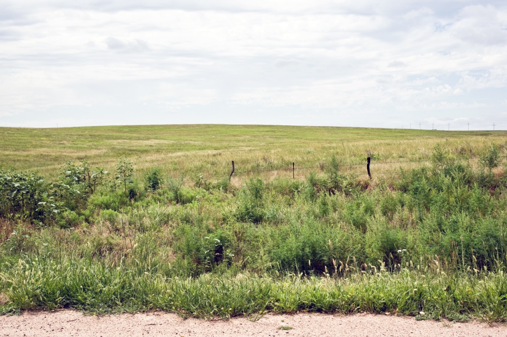 Kansas Field America by Auto
