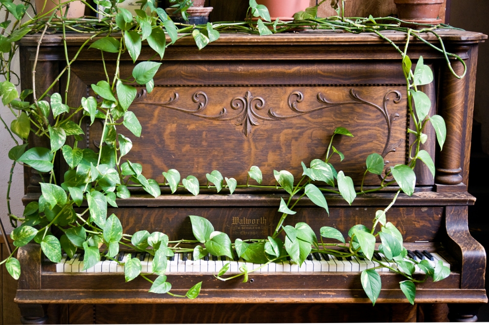 Nicodemus, Kansas Piano America by Auto