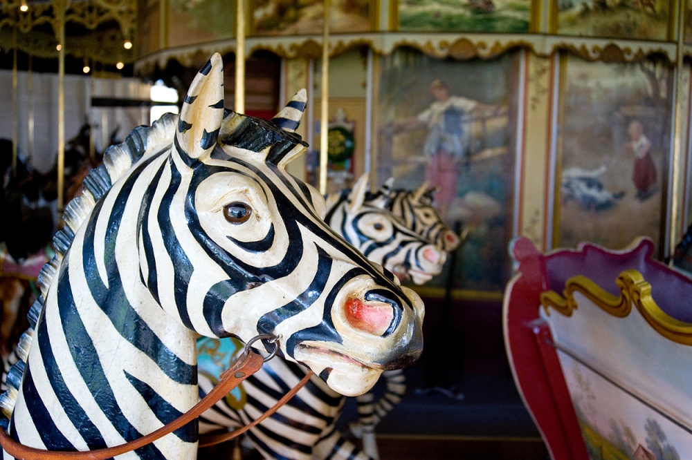 Carousel Zebra, Burlington, CO. America by Auto