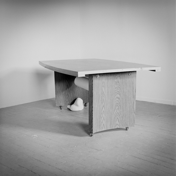 Situation 7 TARRAH KRAJNAK Objects Silver Gelatin Print