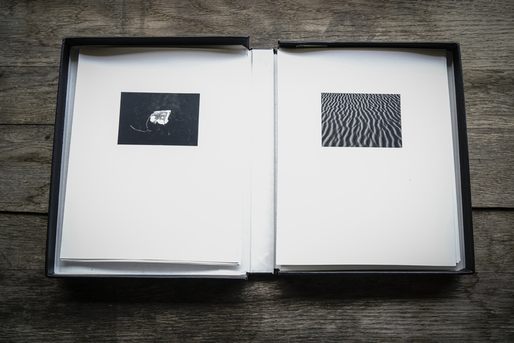 TARRAH KRAJNAK Portfolio Edition TARRAH KRAJNAK Portfolio Edition