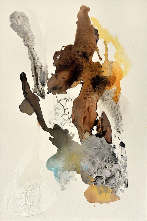 Breaking the Ice Paintings on Paper and Linen 2013 - 2001 Flashe paint, resin, photographs,color pencil, paper mache, coffee, ink, acyrlic,gesso, on BFK paper on stretched jute