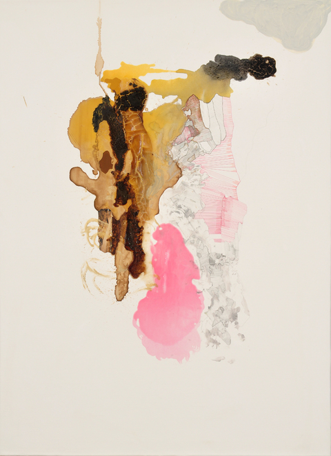 Summer Paintings on Paper and Linen 2013 - 2001 Flashe paint, resin, photographs,color pencil, paper mache, coffee, ink, acyrlic,gesso, felt on BFK paper on stretched jute