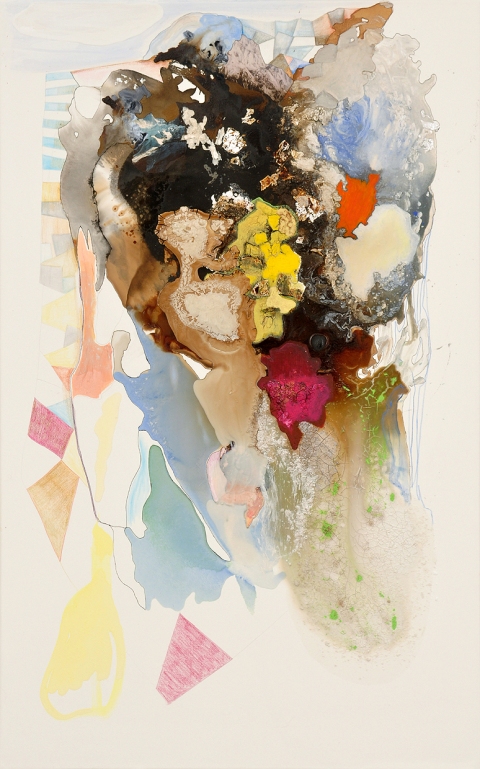 DNA Memories Paintings on Paper and Linen 2013 - 2001 Flashe paint, acrylic, resin, marble dust, color marker, color pencil, silver leaf, photos coffee, whisky,ink, gesso on BFK paper on stretched linen