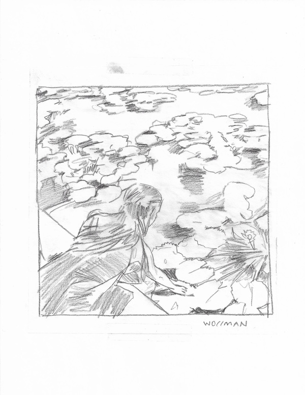Lily pond wishes TIFFANY WOLLMAN 2017 Pencil on paper