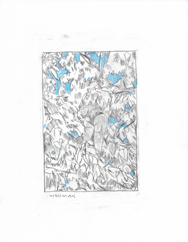 Untitled TIFFANY WOLLMAN 2017 Pencil and pencil crayon on paper