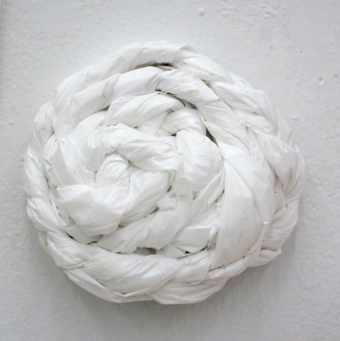 Plastic Study (braid) TIFFANY WOLLMAN 2012 Box of household kitchen garbage bags