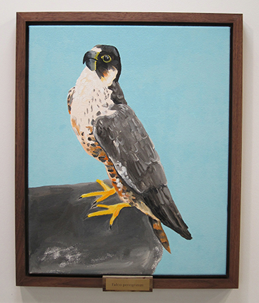 Falco peregrinus TIFFANY WOLLMAN 2014 Oil on canvas