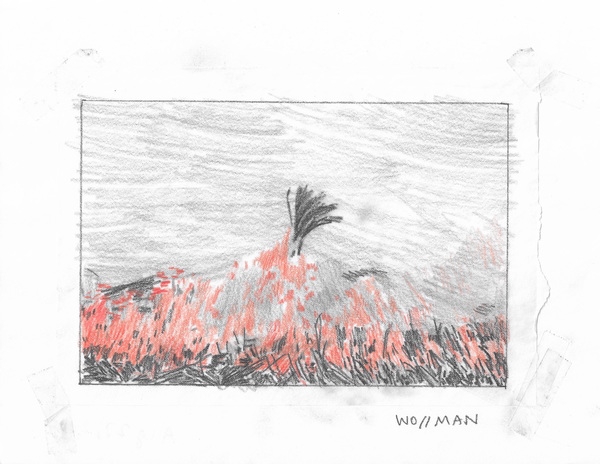 Lone tree awaits its fate TIFFANY WOLLMAN 2019 Pencil and pencil crayon on paper