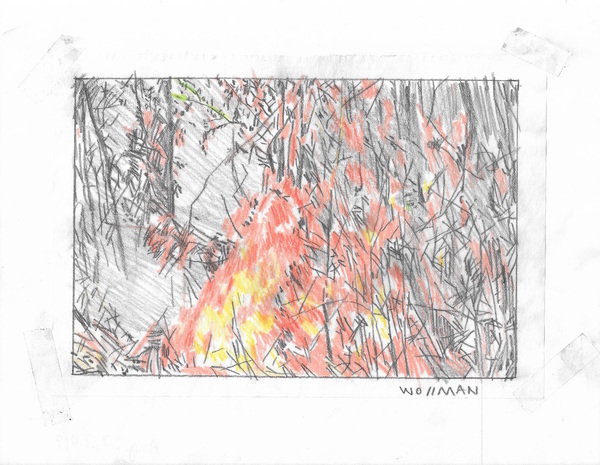 Devouring flames TIFFANY WOLLMAN 2019 Pencil and pencil crayon on paper