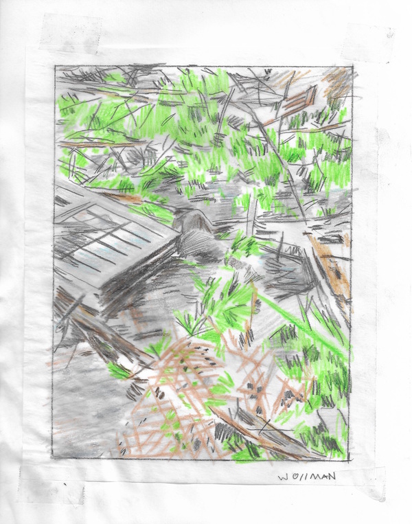 Lost in the Bahamas TIFFANY WOLLMAN 2019 Pencil and pencil crayon on paper