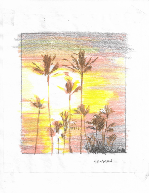 Golden sunset glow TIFFANY WOLLMAN 2019 Pencil and pencil crayon on paper