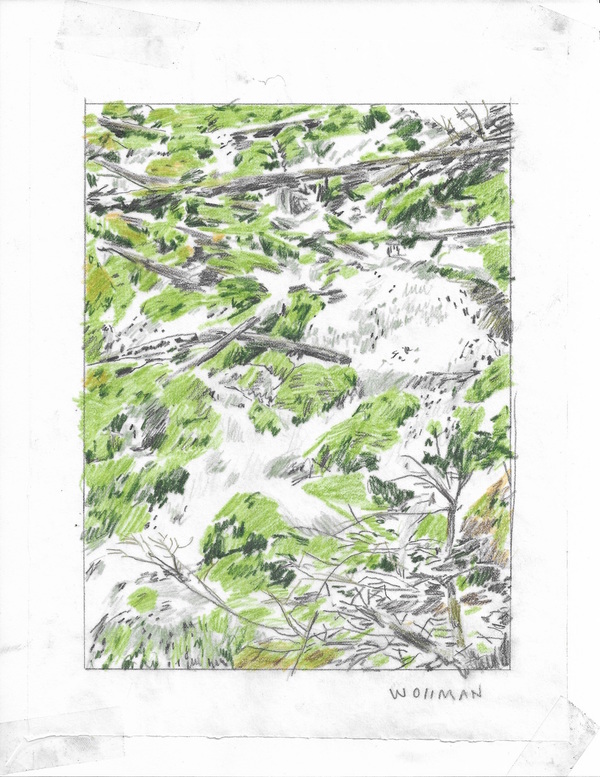 Karst Spring I TIFFANY WOLLMAN 2019 Pencil and pencil crayon on paper